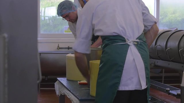 Two cheese factory employees preparing cheese for moulding process