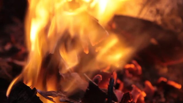 Fire Buning wood