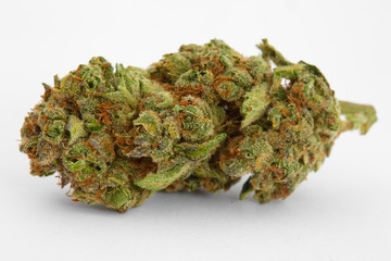 Close up of prescription medical marijuana strain on white background