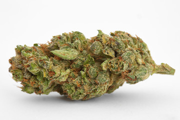 Close up of prescription medical marijuana strain on white background