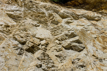 Background of nature