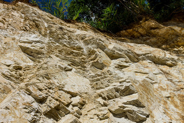 Background of nature