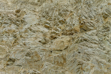 Background of nature