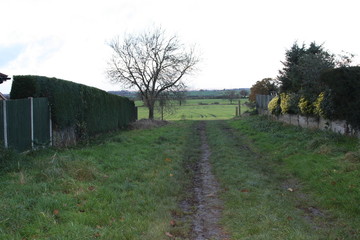 Road to a field in England