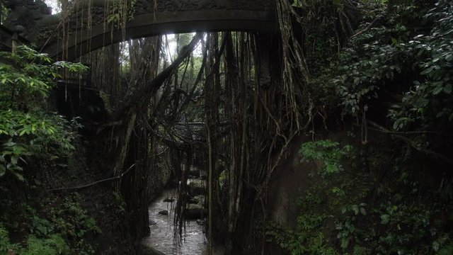Famous dragon bridge in Sacred Monkey Forest near Ubud Indonesia