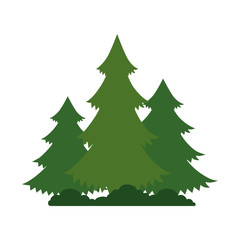 Obraz premium pines trees plants with grass vector illustration design