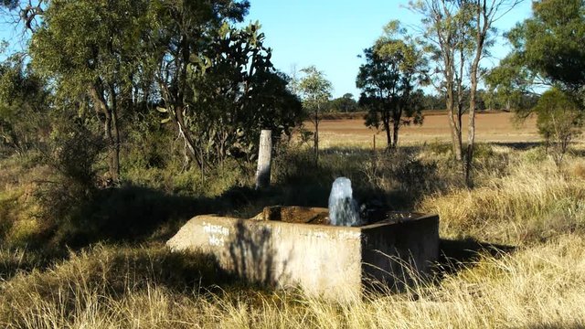 an uncapped artesian bore near moree in western new south wales, australia