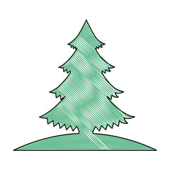 pine tree plant icon vector illustration design