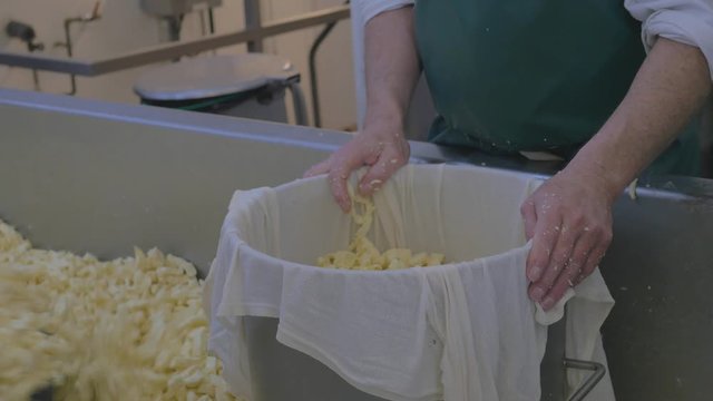Fresh cheese being packed into vat in factory