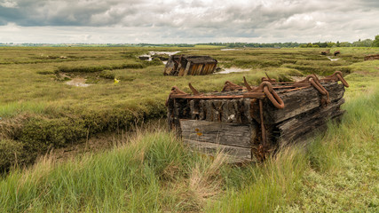 Marshland near the River Crouch, Wallasea Island, Essex, England, UK