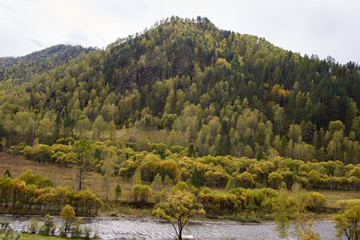 High mountain. Autumn forest. Cold river