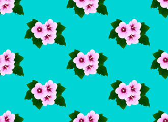Pink Hibiscus syriacus - Rose of Sharon on Mint Background