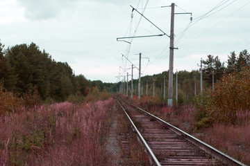 Fototapeta na wymiar railway poles and electricity