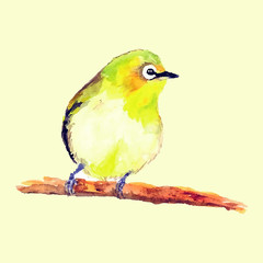 yellow bird