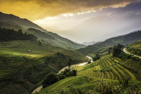 Terraced rice field landscape of Mu Cang Chai, Yenbai, Northern Vietnam