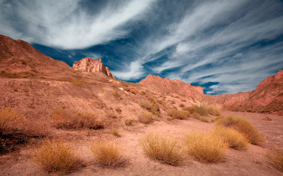 the landscape of Yardan Landform (devil city) in Zhangye, Gansu, China