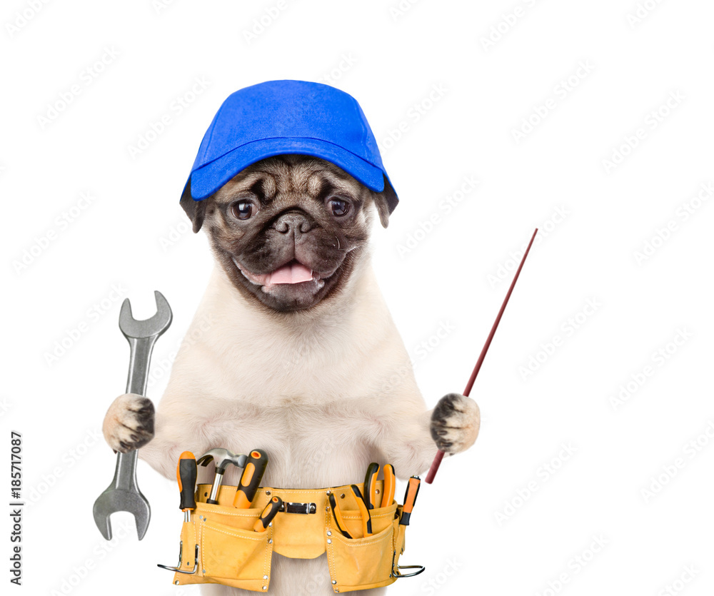 Poster funny dog worker in blue cap with tool belt and wrench pointing away. isolated on white background