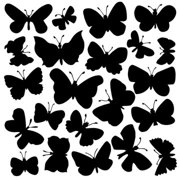Vector set of butterflies. Stock vector template, easy to use.