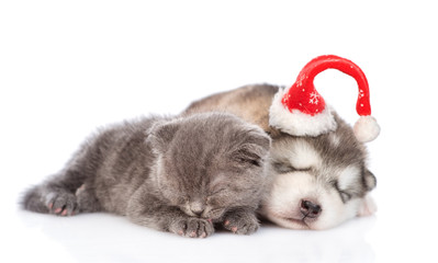 Funny sleeping kitten with a puppy in a christmas hat. isolated on white background