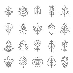 Set of outline stroke icons with tress, leaves and flowers. Vector illustration for your cute design.