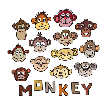 Animal Portrait Monkey. Vector illustration