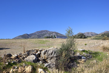Fototapeta na wymiar olive pressing factory in andalusia