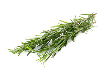 rosemary isolated on white