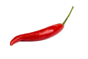 hot peppers isolated