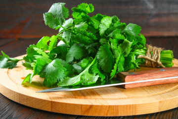 bunch of fresh cilantro on the boards, fresh herbs on wooden table.