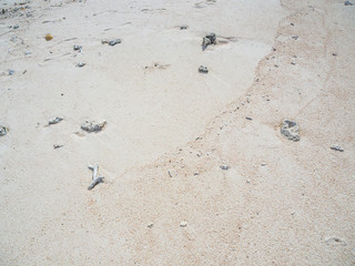 Abstract nature background of sand texture.