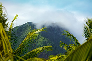 MONTAGNES DE POLYNESIE