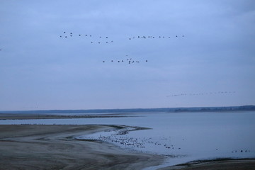 lac du der