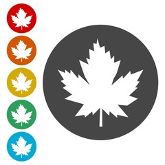 Vector Maple Leaf Icon 