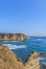 冬の太平洋の風景
