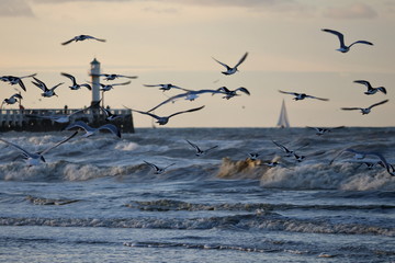nieuwpoort