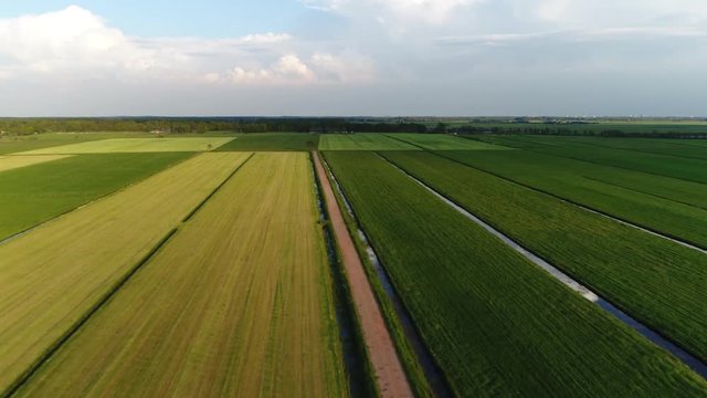 Aerial bird-eye view footage flying over agricultural zoned land showing the different green colored irrigated land zones beautiful summer evening scene over typical farm land 4k high resolution