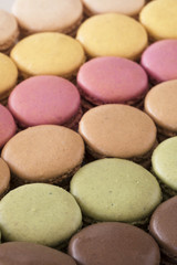Close up Macaroons, Vertical