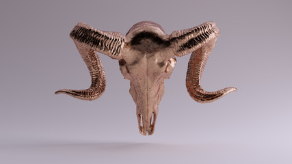 Bronze Ram Skull