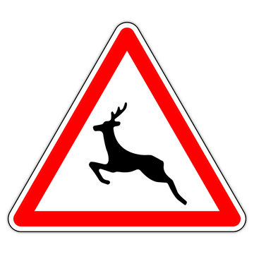 Panneau routier en France : attention aux chevreuils