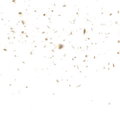 Abstract golden confetti celebration isolated on white. EPS 10 vector