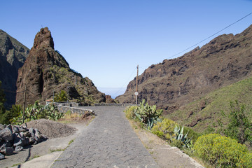 Beautiful nature at Tenerife. Sun and warm weather conditions.
