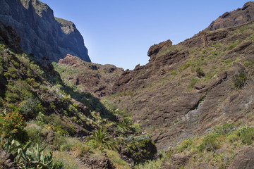 Beautiful nature at Tenerife. Sun and warm weather conditions.