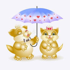Cat and pussy cat under umbrella