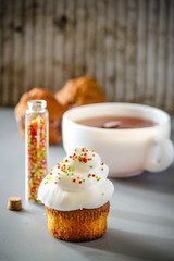 cupcakes - delicious and beautiful muffins