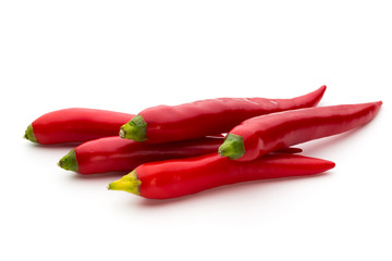 Red chilli pepper isolated on a white background.