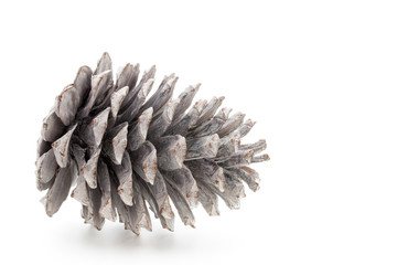 Christmas pine cone on white background.