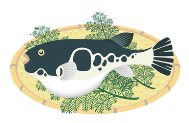 ふぐ　河豚　冬の味覚　白背景 © AQ-taro Images