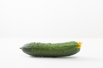 Cucumber with yellow flower on white background
