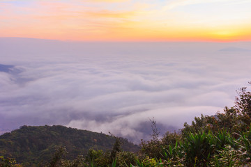 sunrise time and fog around mountain at PHU-RUEA national park