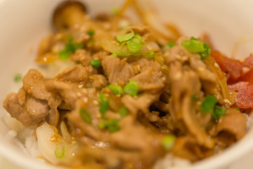 Yakiniku Don (Pork)